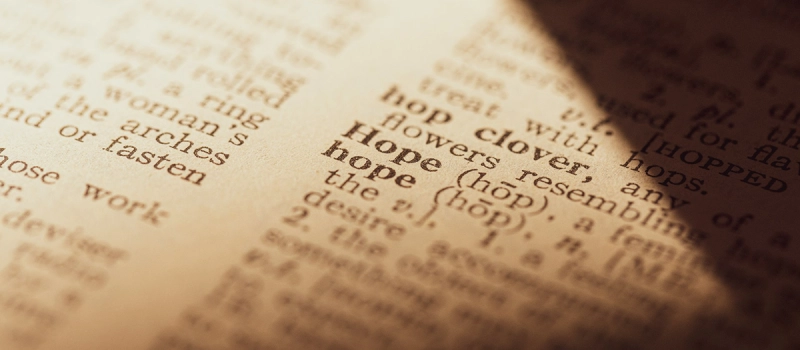 English Language English Language